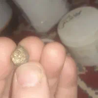 استخراج طلا از سنگ و خاک