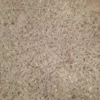 برنج فجر سوزنی امساله