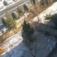 تدریس خصوصی عربی از پایه تا کنکور