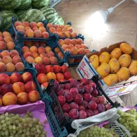 واگذاری میوه فروشی|اجارهٔ مغازه و غرفه|مشهد, حسابی جنوبی (شهرک غرب)|دیوار