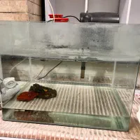آکواریوم و تصویه آب|ماهی|تهران, جنت‌آباد مرکزی|دیوار