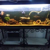 آکواریوم بزرگ