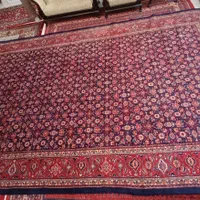 فرش دستباف آنتیک ساروق|فرش|تهران, فلسطین (میدان انقلاب)|دیوار