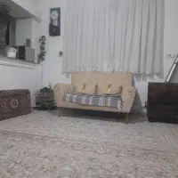 فردوس52
