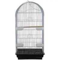 قفس پرنده و طوطی سانان یکجا باهم