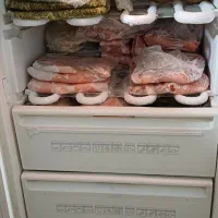 یخچال|یخچال و فریزر|کرج, خرمدشت|دیوار