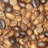 دان قهوه|عمدهفروشی|کرمان, |دیوار