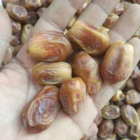 خرمای زاهدی (قصب)