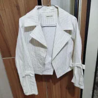 کت سالم پاپیونی