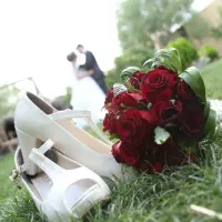 مدلینگ رایگان