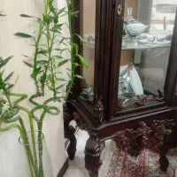 ویترین چوبی سالم بدون شکستگی|بوفه، ویترین، کنسول|تهران, مینای شمالی (مخبر)|دیوار