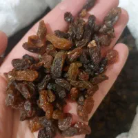 کشمش و مویز خراسان