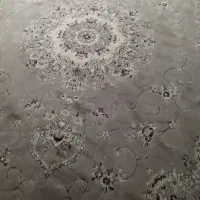 فقط 2میلیون|فرش|مینودشت, |دیوار