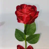 گل های روبانی|گل مصنوعی|لنگرود, |دیوار