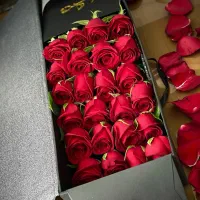 گل رز گل کادوی میدم