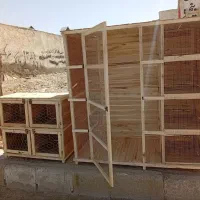 قفس چوبی کفتر