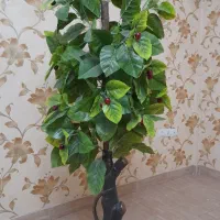 درختچه مصنوعی آلبالو