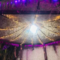 خدمات برقی ایران زمین|خدمات پیشه و مهارت|شوش, |دیوار