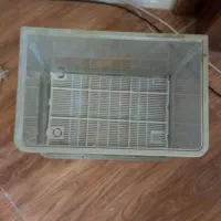 اکواریوم|لوازم جانبی حیوانات|کرمان, |دیوار