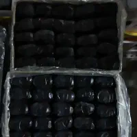 خرما2ردیفی بم