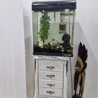 اکواریوم ۲۵ در ۴۳ شرکتی ارتفاع ۴۸ دورخم شرکتی