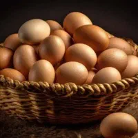 فروش تخم مرغ نطفه دار گوشتی