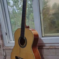 گیتار کلاسیک بنبرگ|گیتار، بیس، امپلیفایر|لشت نشا, |دیوار