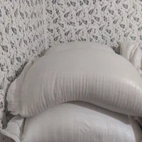 برنج هاشمی درجه یک دره رود مغان