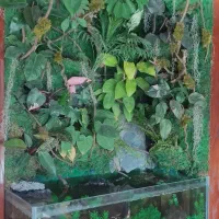 مشاوره، طراحی و اجرای انواع آکواریوم و پالاداریوم