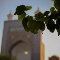عکاسی