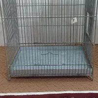 قفس|لوازم جانبی حیوانات|مشهد, شهید قربانی|دیوار