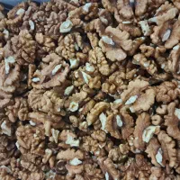 مغز گردو|خوردنی و آشامیدنی|زنجان, |دیوار