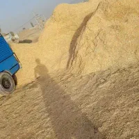 خریدار کاه نخود