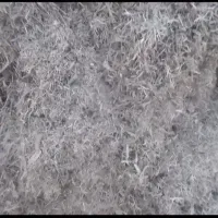 فروش کاه جو