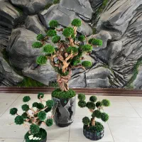 درخت جاویدان