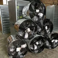 گلخانه|خدمات باغبانی و درختکاری|خرم‌آباد, |دیوار