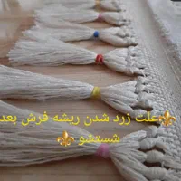 قالیشویی بهار شهر صنعتی البزر فرش مبل تشک موکت|خدمات نظافت|قزوین, |دیوار