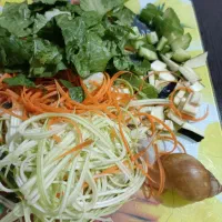 قیمت توافقی|خزنده|شیراز, کفترک|دیوار