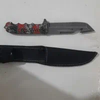 کبوتر معاوضه..