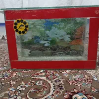 آکواریوم|ماهی|سقز, |دیوار