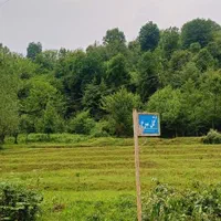 کلبه چوبی در دل طبیعت|اجارهٔ کوتاه‌مدت ویلا و باغ|ماسوله, |دیوار