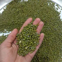 ماش درجه یک|خوردنی و آشامیدنی|حمیدیه, |دیوار