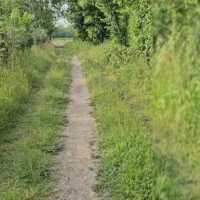 یک هکتار  ملک روستایی  همراه با بنا لاهیجان|فروش زمین و ملک کلنگی|لاهیجان, بوجایه|دیوار