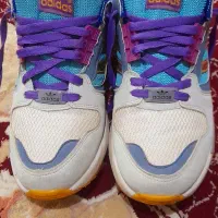 کفش|کیف، کفش، کمربند|مشگین شهر, |دیوار