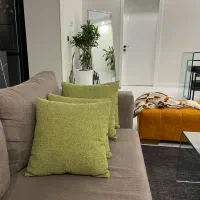 ۴ عدد کوسن سبز