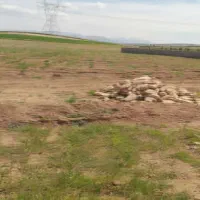 فروش زمین باغ شهری