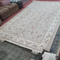 فرش نو|فرش|گلستان (تهران), |دیوار