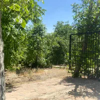 ۱۰۰۰ متر باغ * کردان * سند تکبرگ * استخر * تهاتر|فروش زمین و ملک کلنگی|کرج, عظیمیه|دیوار