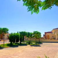 زمین-باغ-ویلا500متر-جنوبی-کاج-فاز3-فاز2باغ-ویلایی