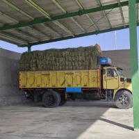 ولوو ان ده جدید